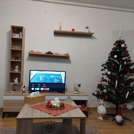 Apartament Ambrus Sighisoara Exterior photo