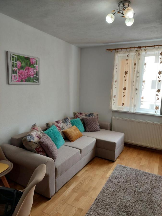 Apartament Ambrus Sighisoara Exterior photo